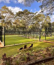 Padel at Fig & Olive near Pond Cottage Tigoni, Kenya