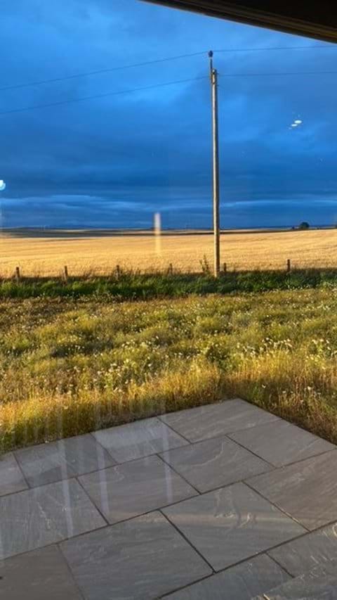 Evening light
