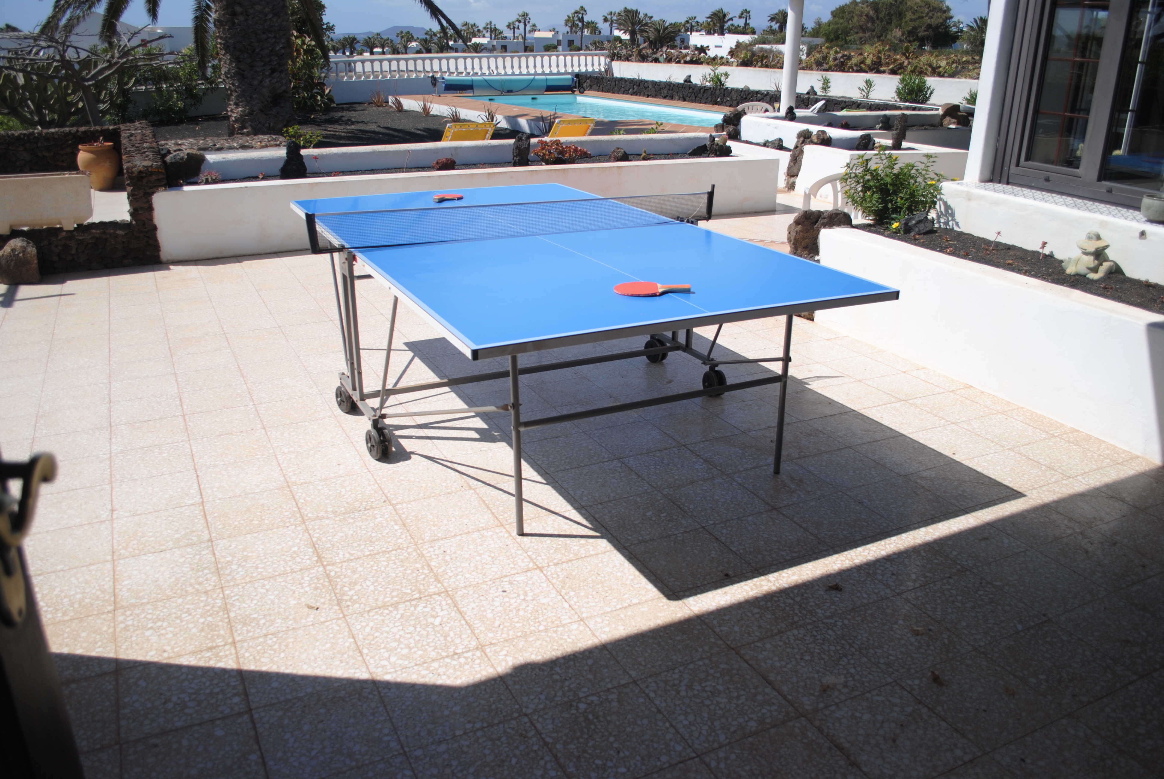 Table tennis (and pool table)