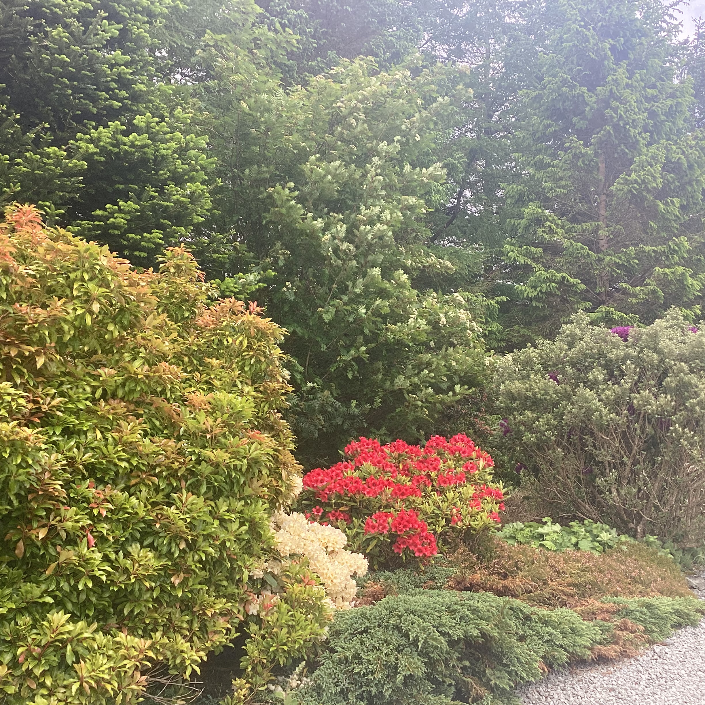 GARDENS