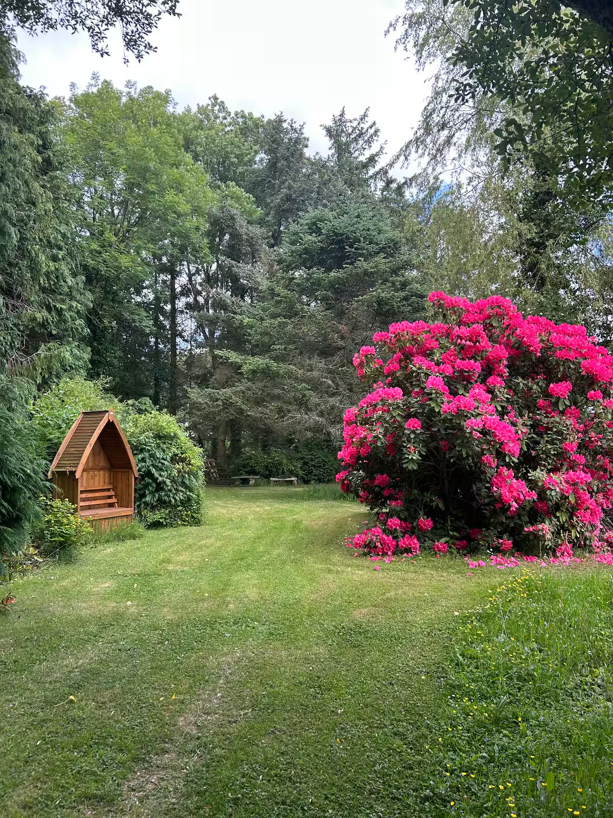 Our pond garden (just up the lane), seating to enjoy the tranquility.