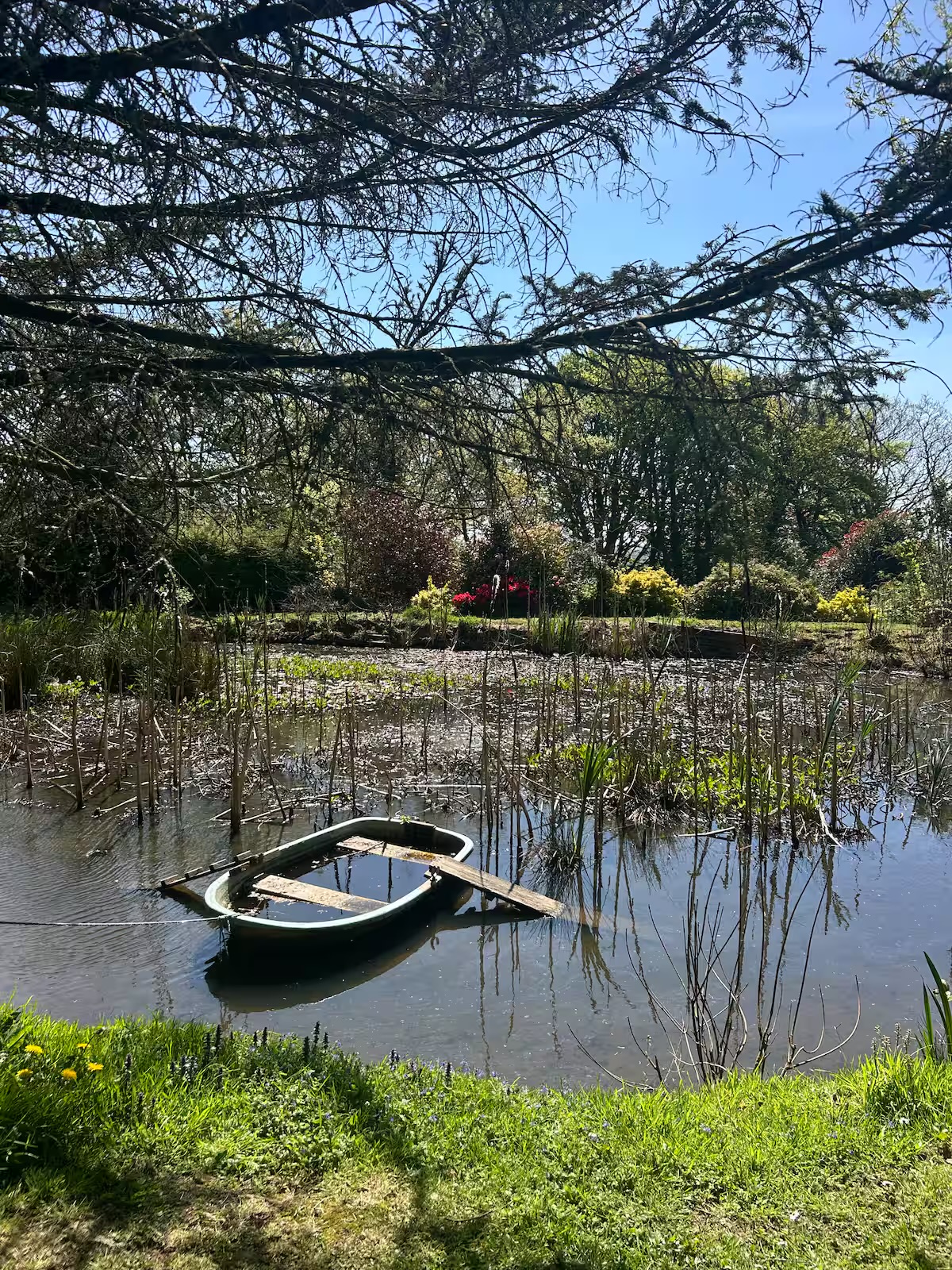 Our pond garden (just up the lane)