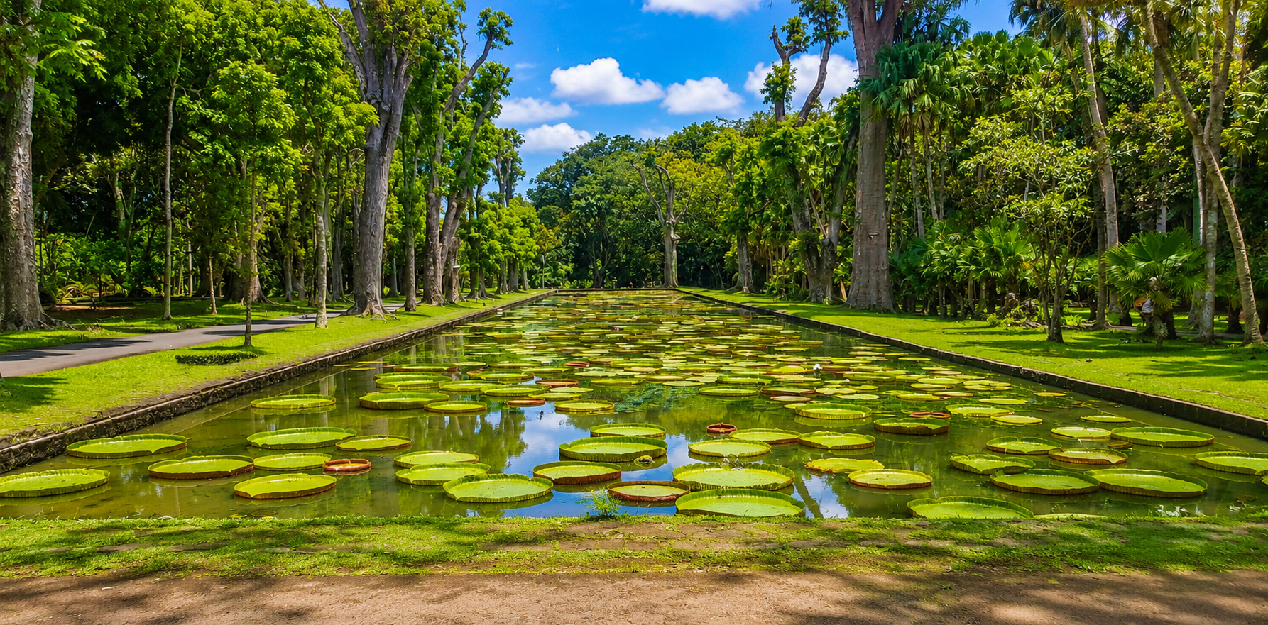 Discover the beauty of the Botanical garden