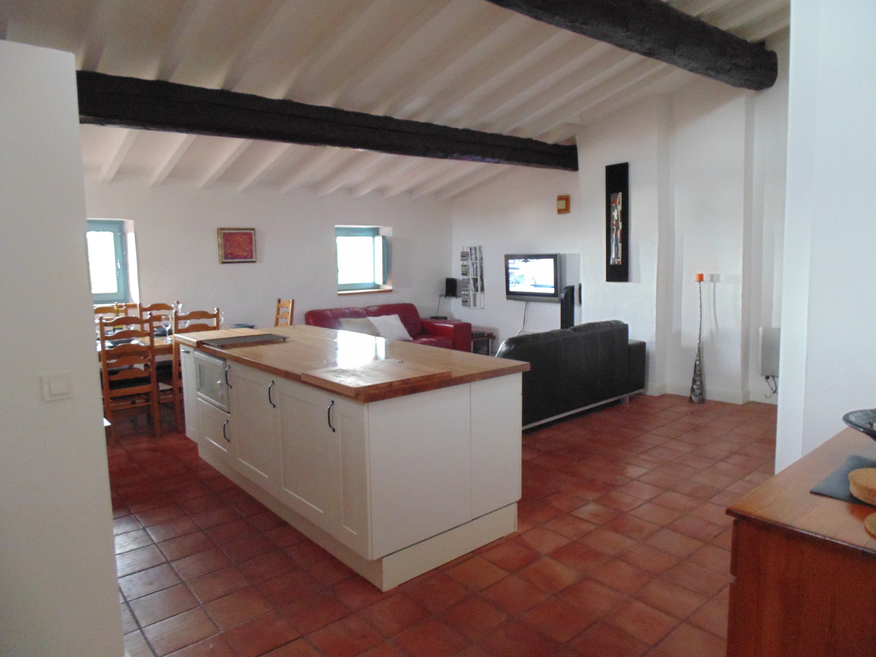 Dining / living area