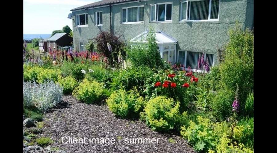 Rear garden in Summer