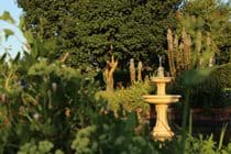 Garden Fountain and Pond