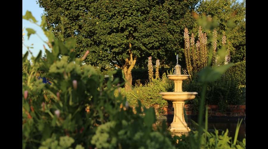 Garden Fountain and Pond