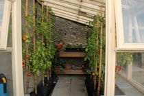 Greenhouse