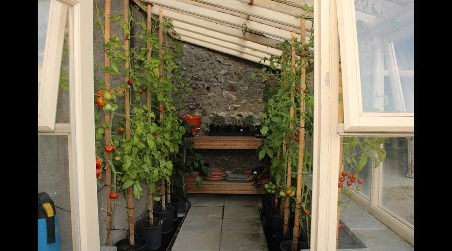 Greenhouse