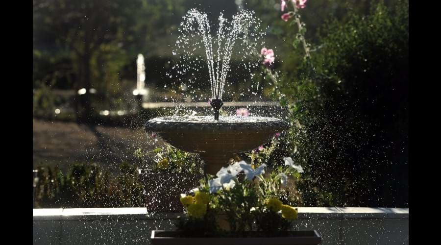 The Gardens