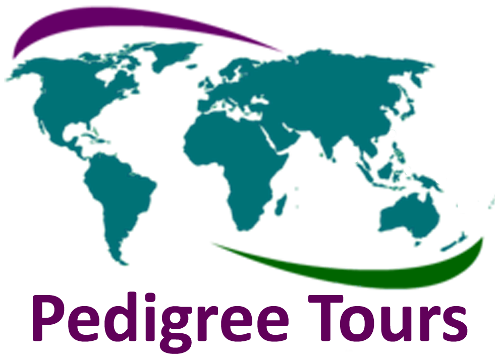 Logo - Pedigree Tours
