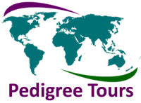 Logo - Pedigree Tours