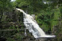 The waterfall at Coed Y Brenin well worth the walk - S Jager
