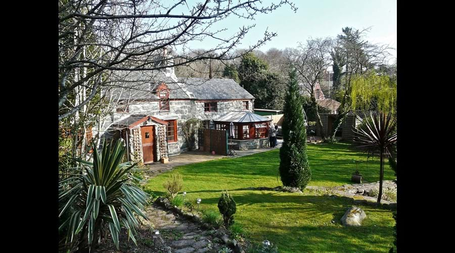 Spring at Llwyn ynn by Mary Marshall