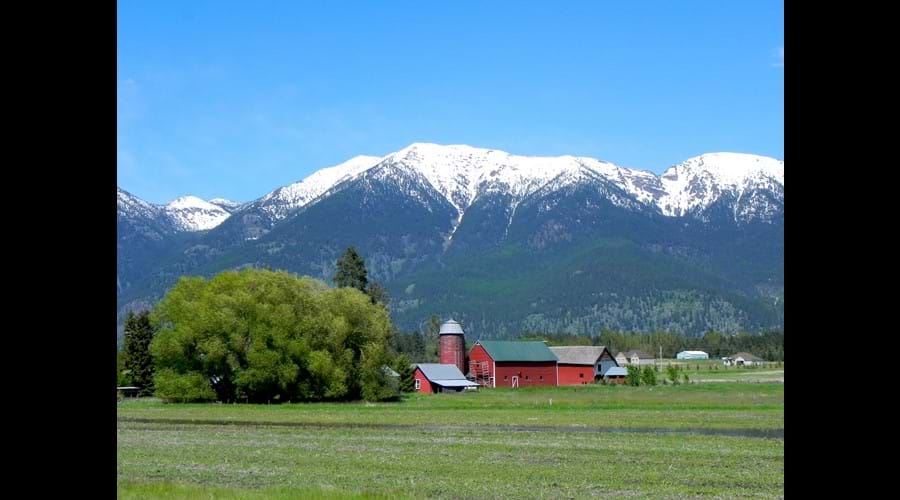 Local Barns in Flathead Valley