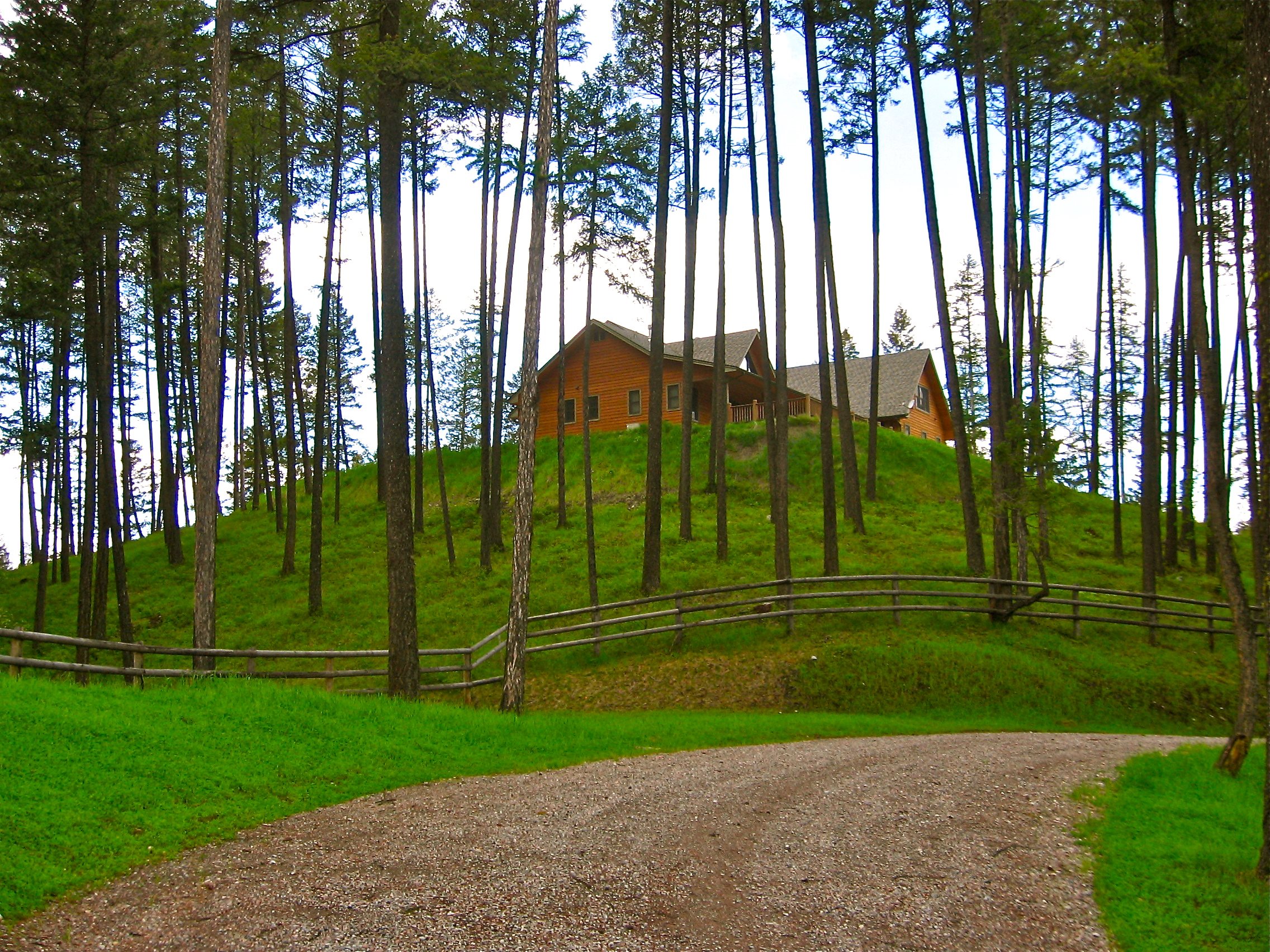 Privacy and serenity perched on a small hill  overlooking the lake