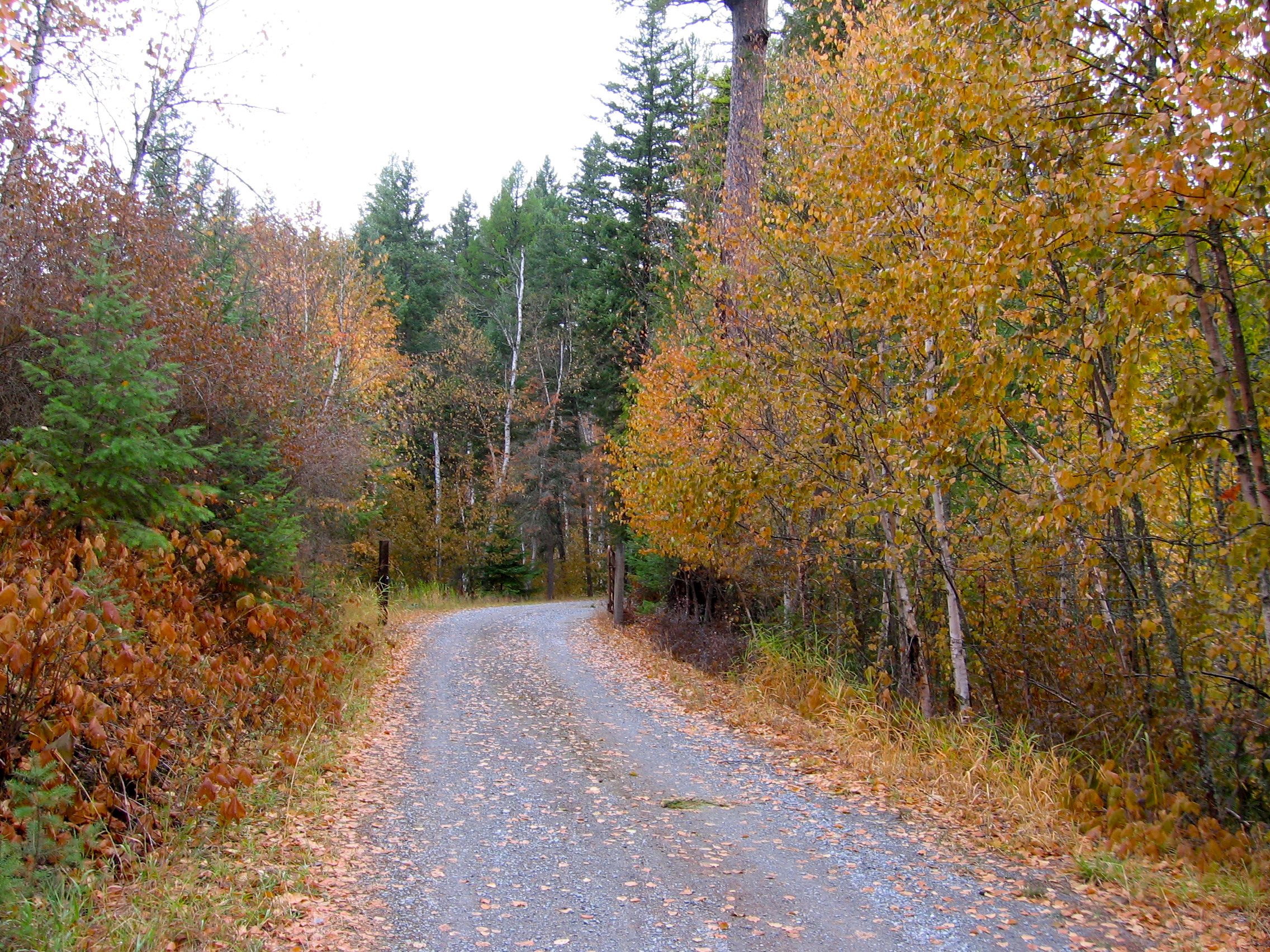 Fall colors near the Swan River