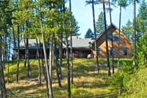 Retreat in the trees above the lake