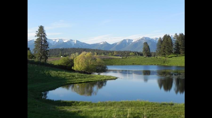 View on the scenic drive in Bigfork (May/June)