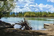 Flathead River