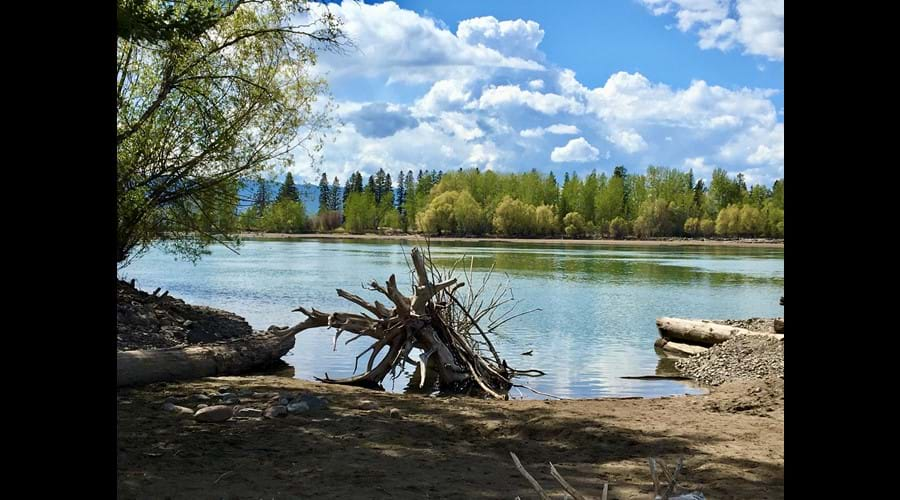 Flathead River