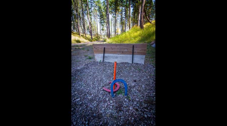 Horse shoes with a lake view
