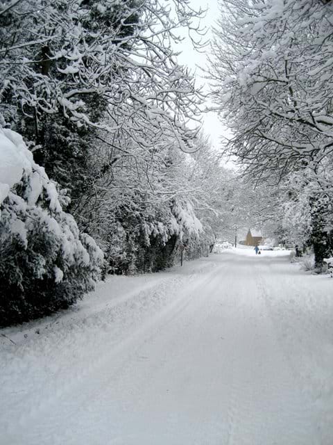 From outside our gate, Back Street in winter