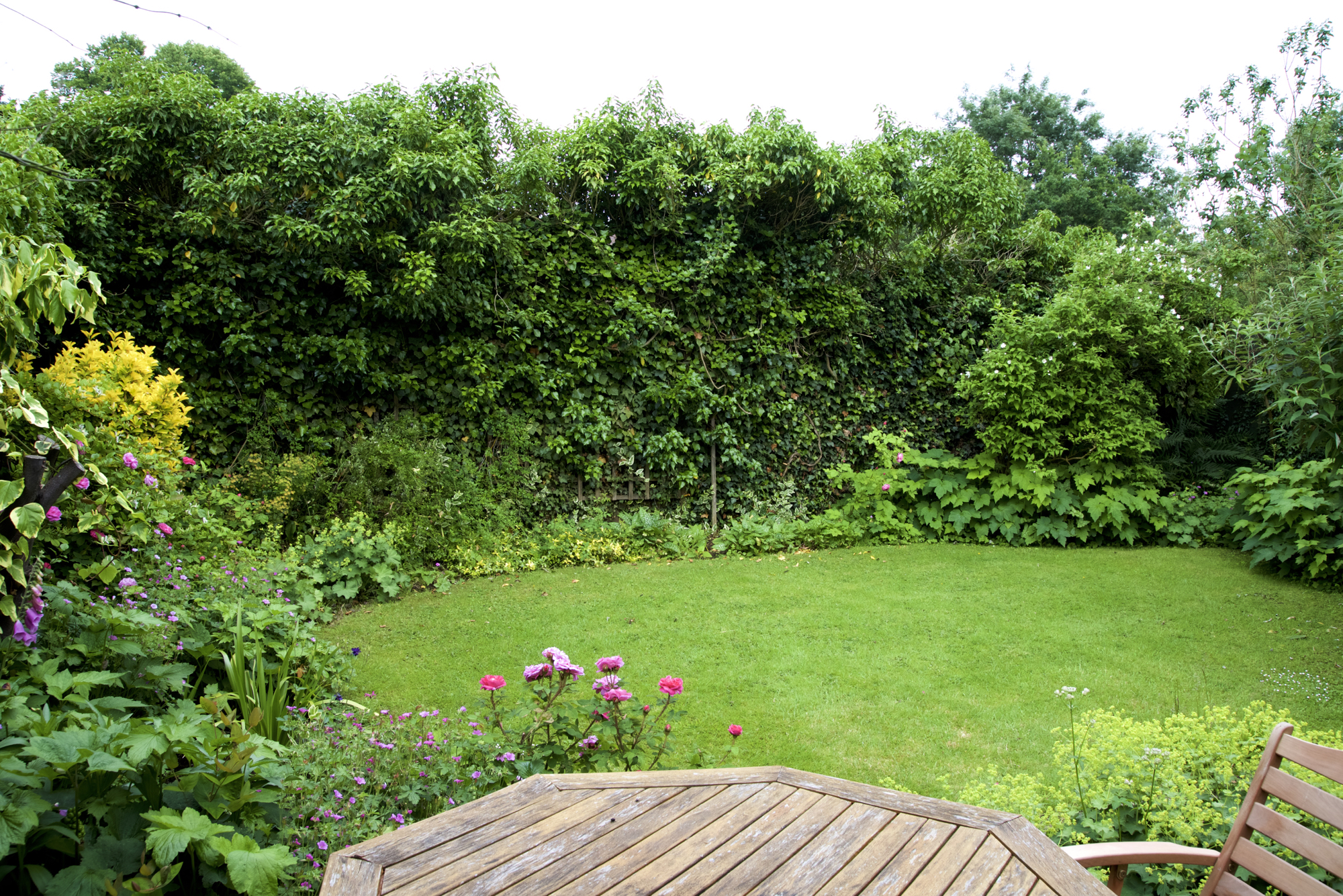 Small enclosed garden Summer