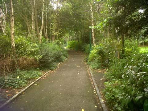 Take a woodland walk in Merrion Square Gardens. Just by the National Gallery