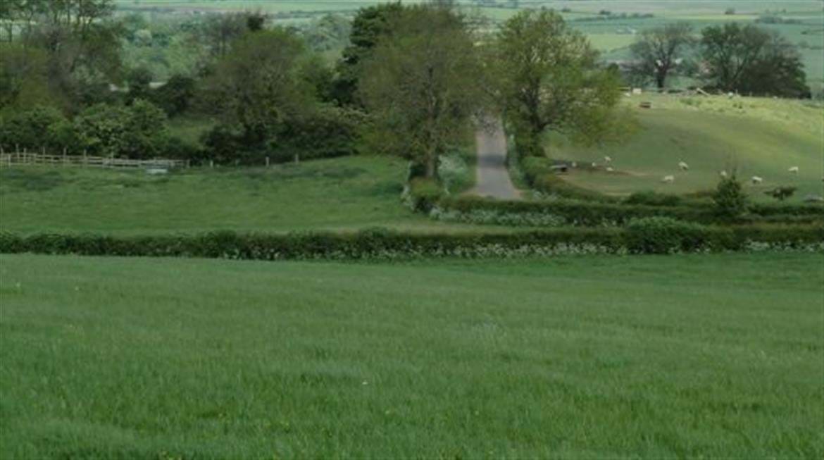 Header Image