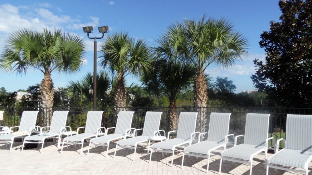 Plenty of Sun Beds to go round