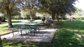 Picnic area with BBQs