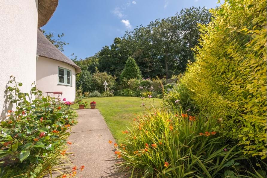 Details The Cranny, WintertononSea