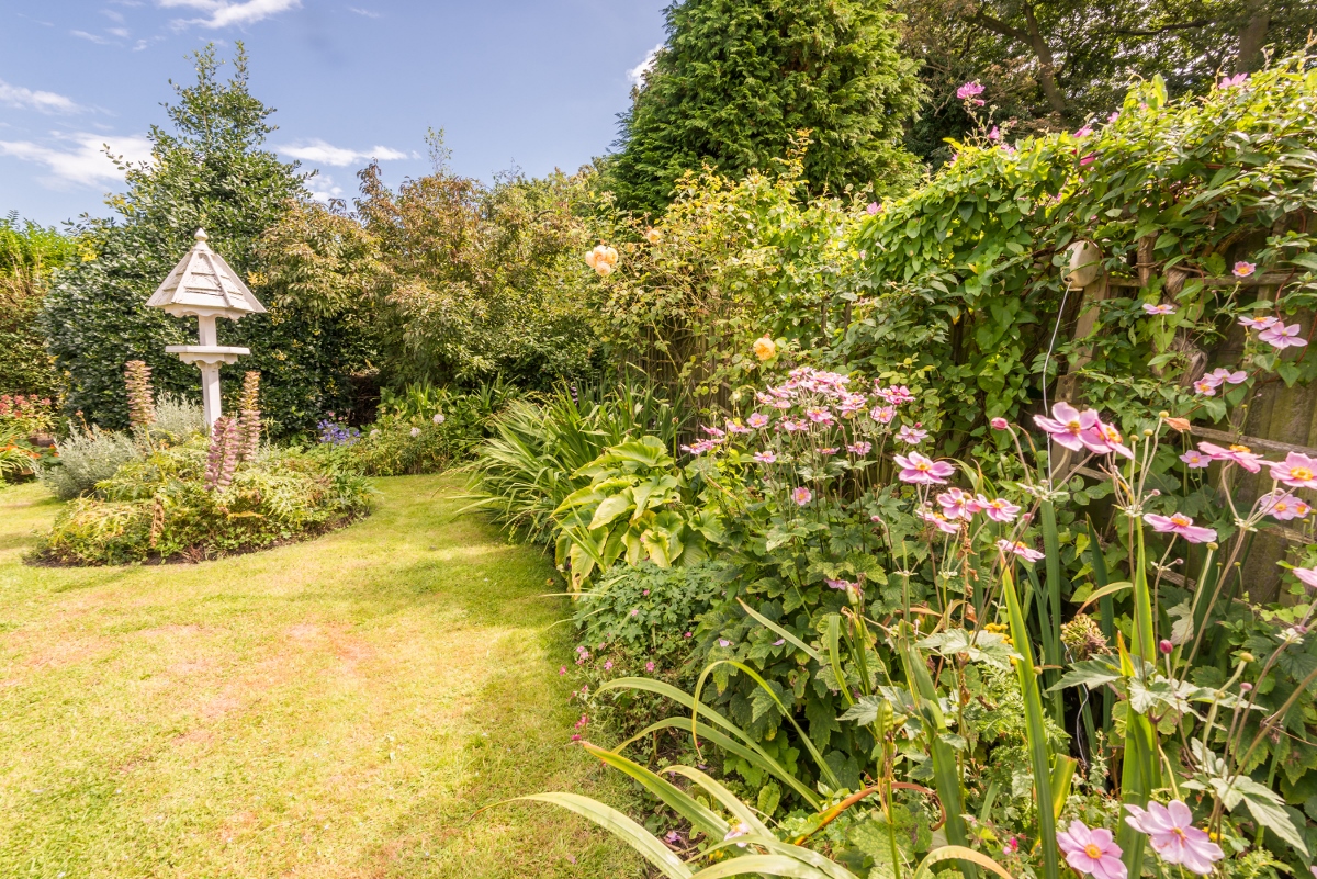 Details The Cranny, WintertononSea