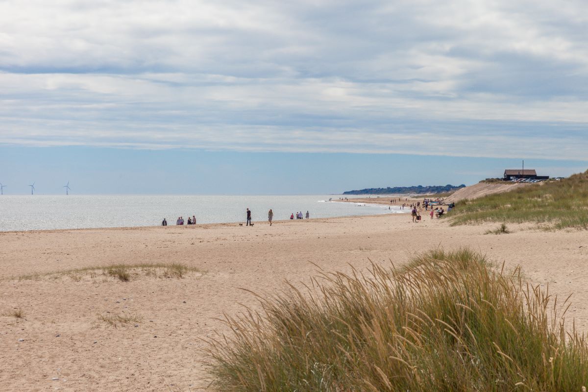 Details The Net House, WintertononSea