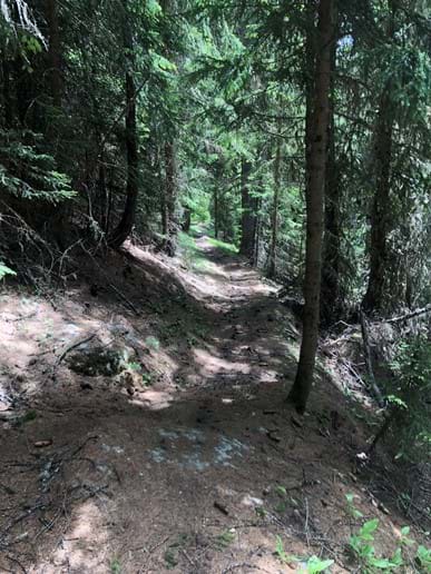La Plagne Forest Trails