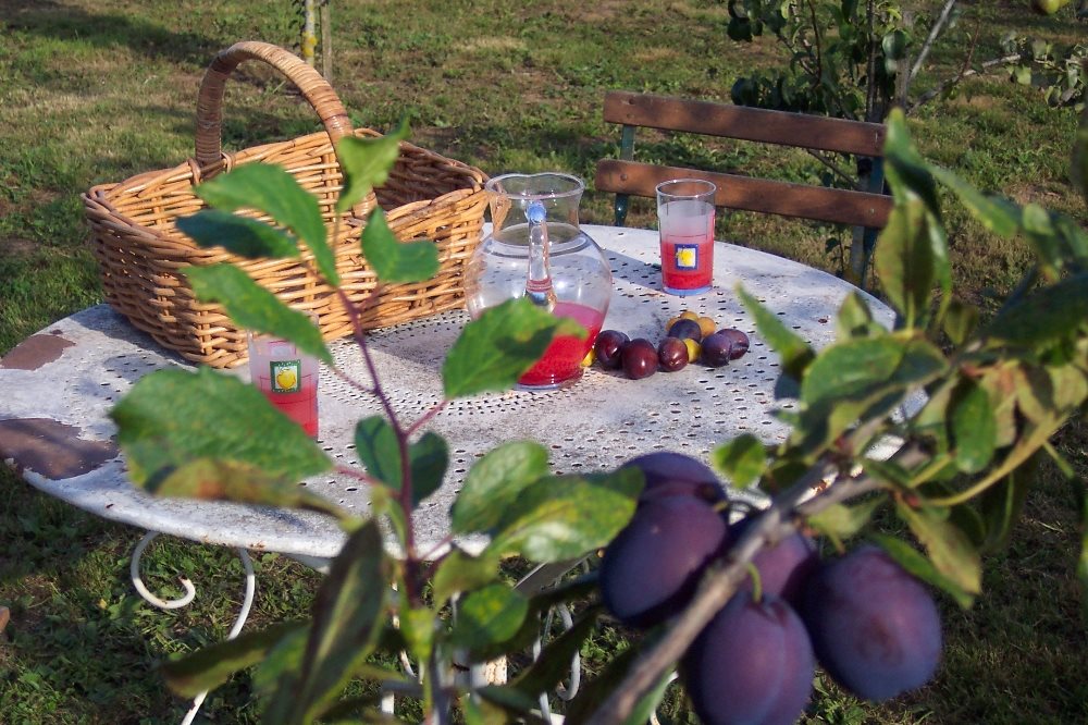 Le Magnou - Gardens 2