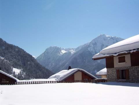 View from studio