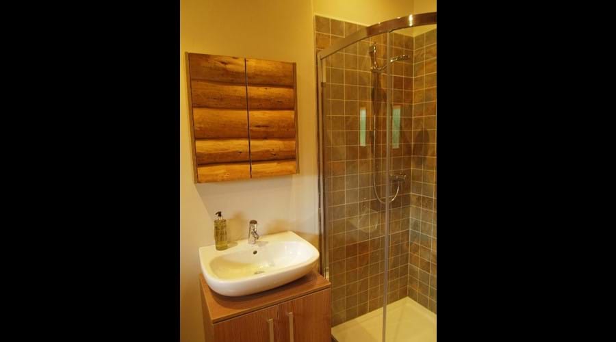 Separate shower enclosure in bathroom