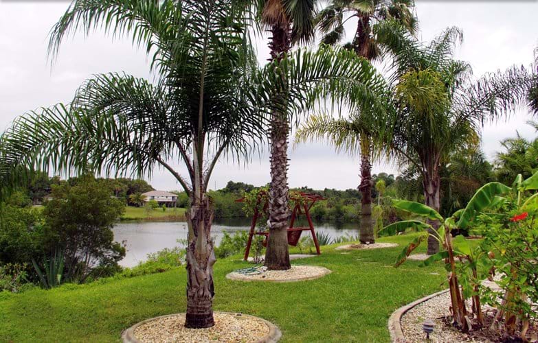 Best Of Florida Beaches Tropical Paradise Luxury Home