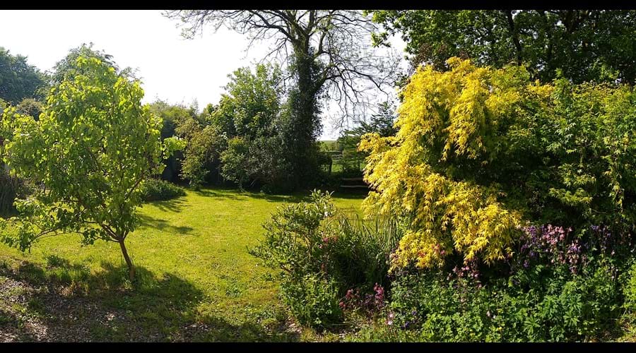 Garden at Rhoslwyn