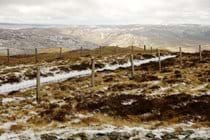 Cambrian Mountains in the snow