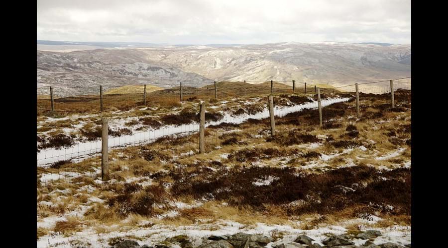 Cambrian Mountains in the snow