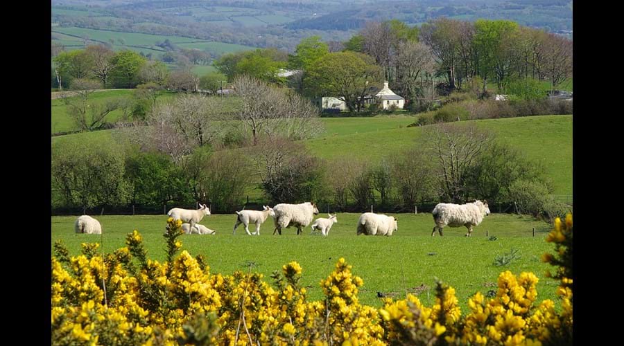 Rhoslwyn from ridge-way footpath