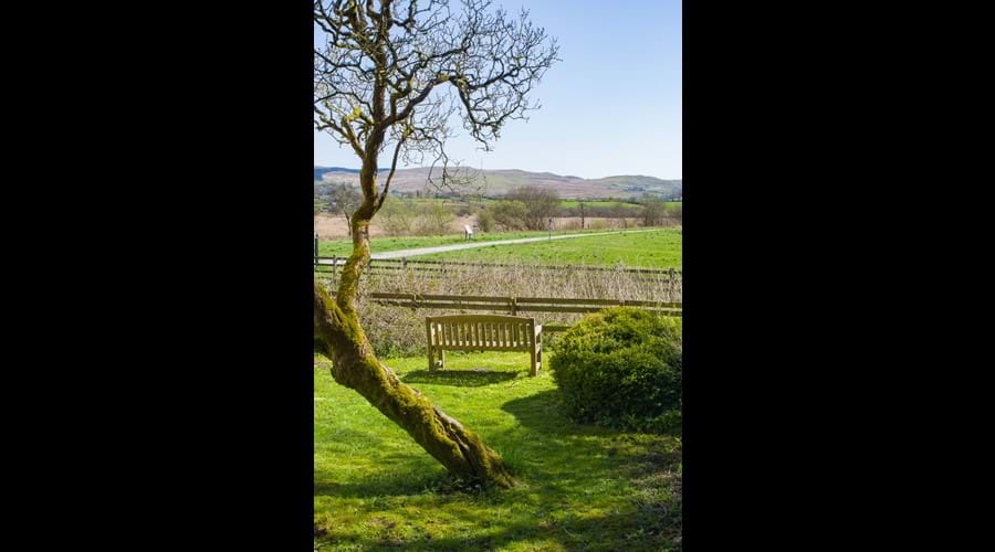 View from garden over Cambrian mountains