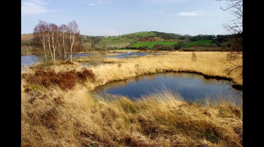 Cors Caron Nature Reserve