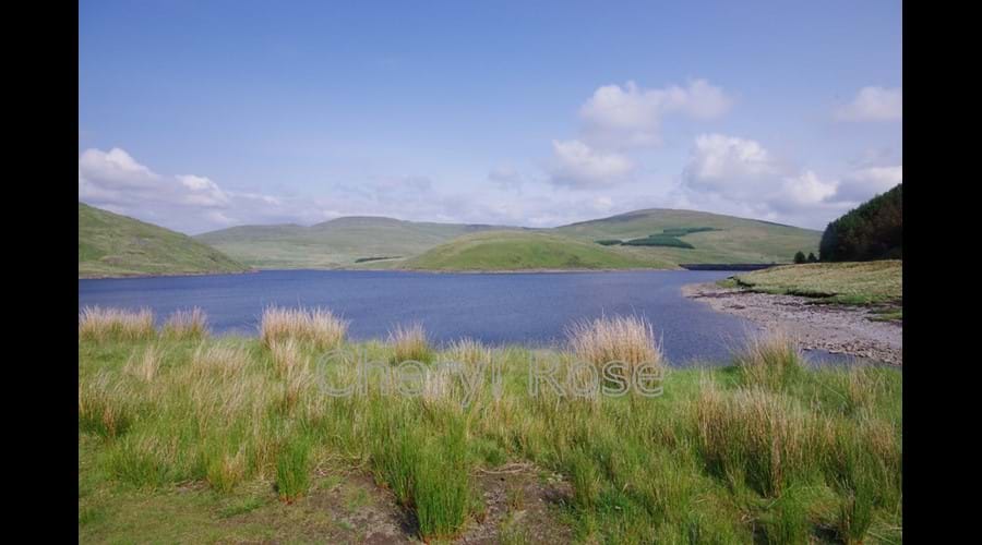 Nant Y Moch
