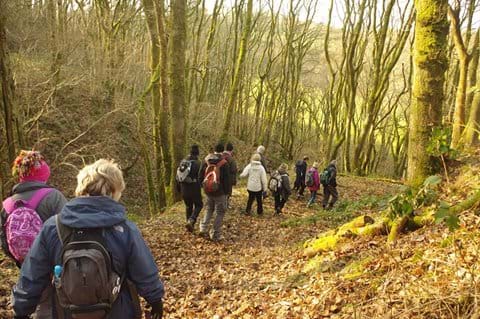 Local Guided Walks & Walking Events