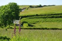 View from back of garden over fields and ridgeway footpath 