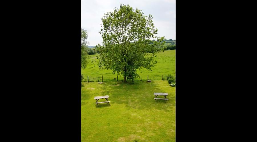 Image of Murmur Aeron Garden